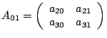 $A_{01}=\left(\begin{array}{cc}
a_{20} & a_{21}\\
a_{30} & a_{31}\end{array}\right)$
